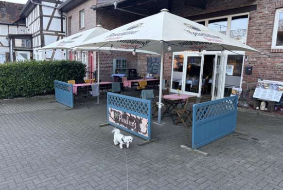 Marburg , Ladenlokal, Gastronomie mieten oder kaufen