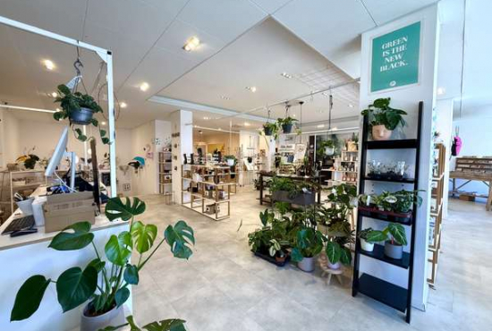 Kassel Treppenstr., Ladenlokal, Gastronomie mieten oder kaufen