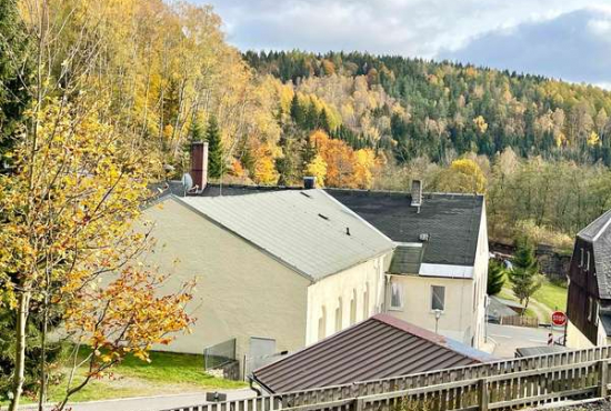 Deutschneudorf / Oberlochmühle , Ladenlokal, Gastronomie mieten oder kaufen