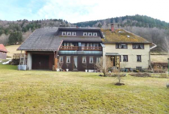 Todtnau , Ladenlokal, Gastronomie mieten oder kaufen