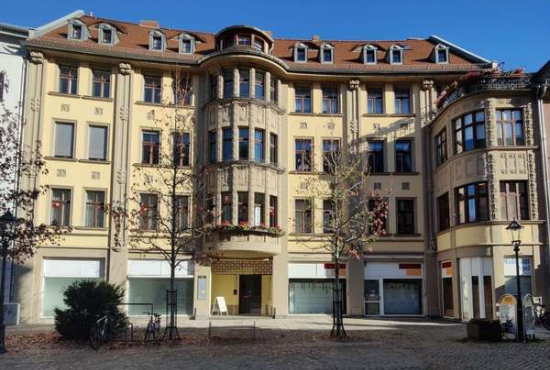 Zwickau Äußere Plauensche Str., Ladenlokal, Gastronomie mieten oder kaufen
