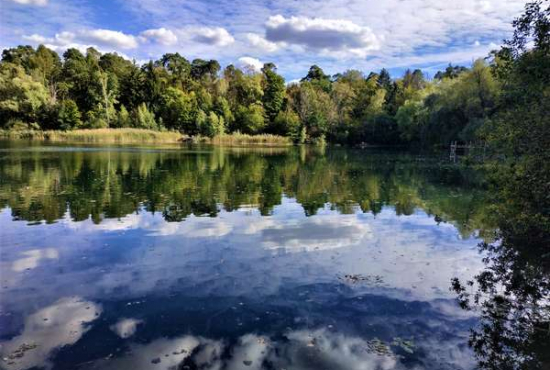 Heidesee , Ladenlokal, Gastronomie mieten oder kaufen