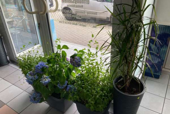 Calbe (Saale) Wilhelm-Loewe-Straße, Ladenlokal, Gastronomie mieten oder kaufen
