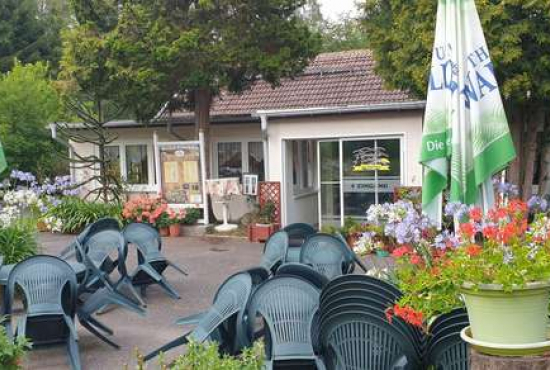 Königsee , Ladenlokal, Gastronomie mieten oder kaufen