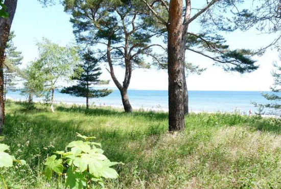 Binz Strandpromenade, Ladenlokal, Gastronomie mieten oder kaufen