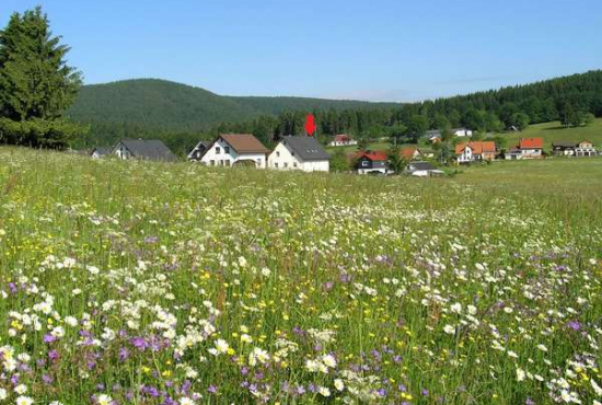 Vesser , Ladenlokal, Gastronomie mieten oder kaufen
