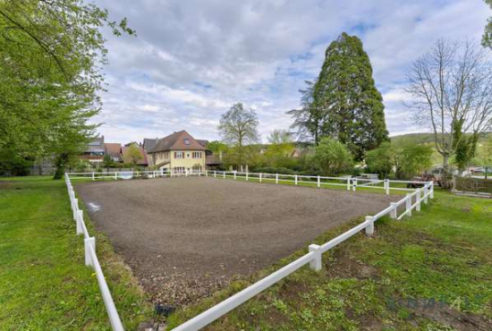 Bad Bellingen / Hertingen , Ladenlokal, Gastronomie mieten oder kaufen