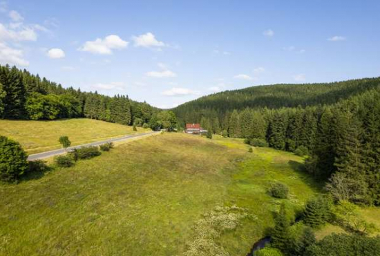 Oberschönau , Ladenlokal, Gastronomie mieten oder kaufen