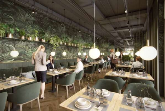 Dresden , Ladenlokal, Gastronomie mieten oder kaufen