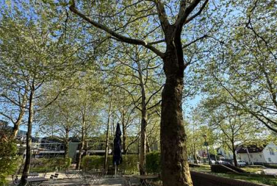 Dachau Klagenfurter Platz, Ladenlokal, Gastronomie mieten oder kaufen