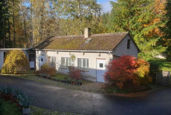 Königsee , Ladenlokal, Gastronomie mieten oder kaufen