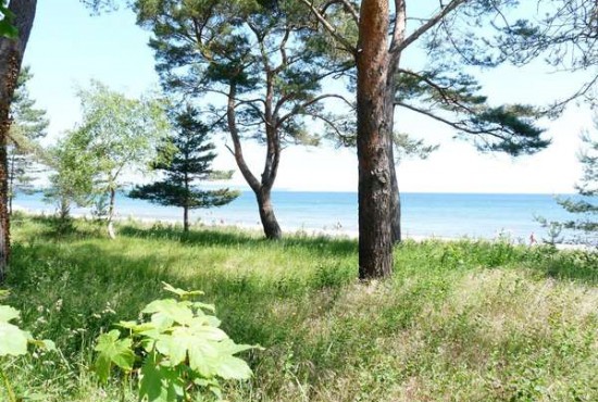 Binz Strandpromenade, Ladenlokal, Gastronomie mieten oder kaufen