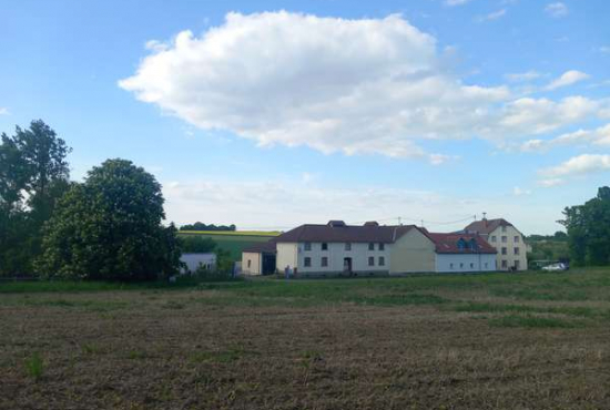 Wöllstadt Frankfurter Str., Ladenlokal, Gastronomie mieten oder kaufen