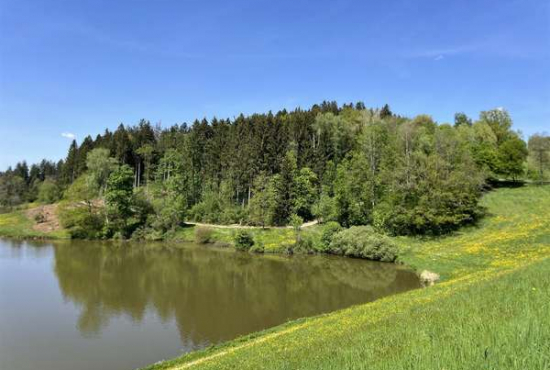 Täferrot , Ladenlokal, Gastronomie mieten oder kaufen