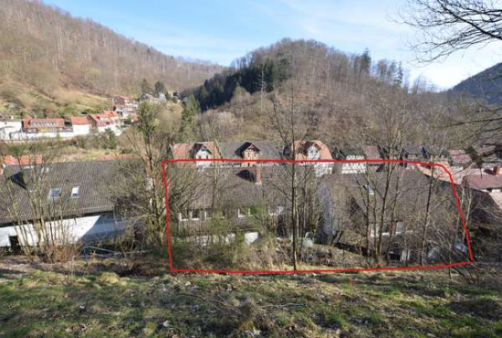 Walkenried , Ladenlokal, Gastronomie mieten oder kaufen
