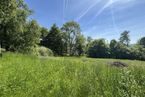 Staufenberg , Ladenlokal, Gastronomie mieten oder kaufen