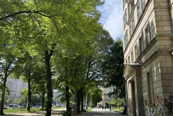 Berlin Karl-Marx-Allee, Ladenlokal, Gastronomie mieten oder kaufen