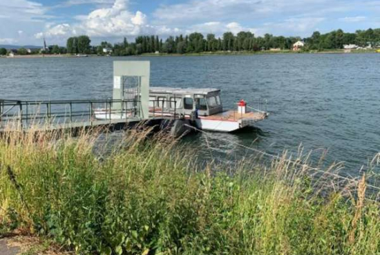 Mainz Stresemann-Ufer, Ladenlokal, Gastronomie mieten oder kaufen