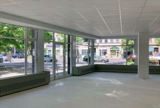 Dresden Borsbergstr., Ladenlokal, Gastronomie mieten oder kaufen