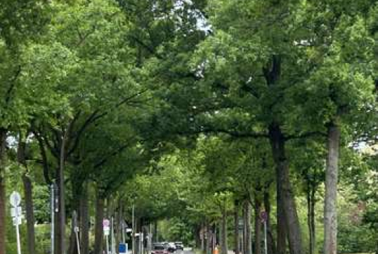Berlin , Ladenlokal, Gastronomie mieten oder kaufen