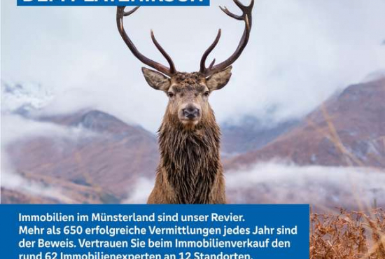 Rheine , Ladenlokal, Gastronomie mieten oder kaufen