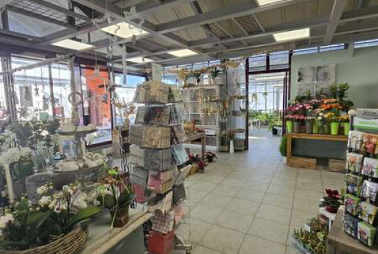 Oberndorf , Ladenlokal, Gastronomie mieten oder kaufen