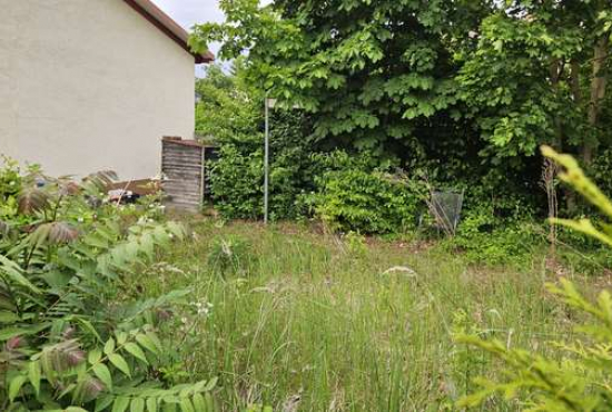Weisenheim am Sand An der Bleiche, Ladenlokal, Gastronomie mieten oder kaufen