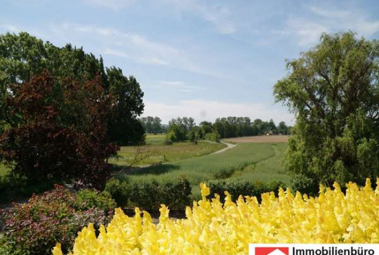 Stadthagen , Ladenlokal, Gastronomie mieten oder kaufen
