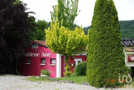 Treffurt / Falken Bahnhofstraße, Ladenlokal, Gastronomie mieten oder kaufen