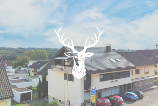 Schwörstadt , Ladenlokal, Gastronomie mieten oder kaufen