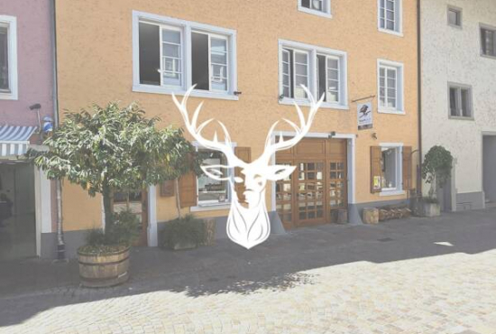 Waldshut-Tiengen Wallstraße, Ladenlokal, Gastronomie mieten oder kaufen