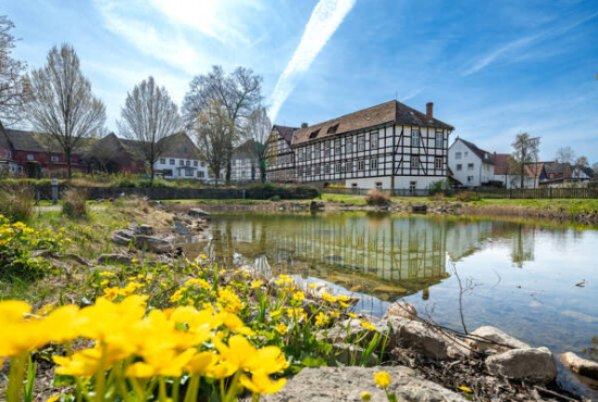 Ottenstein , Ladenlokal, Gastronomie mieten oder kaufen