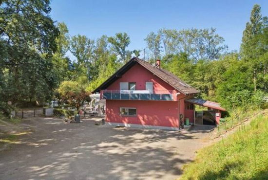 Weil am Rhein , Ladenlokal, Gastronomie mieten oder kaufen Weil am Rhein , Ladenlokal, Gastronomie mieten oder kaufen