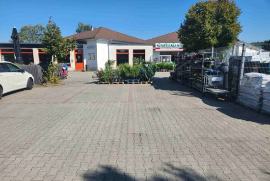 Cottbus , Ladenlokal, Gastronomie mieten oder kaufen