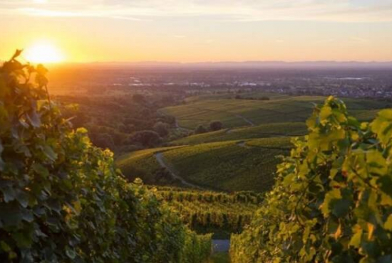 Baden-Baden , Ladenlokal, Gastronomie mieten oder kaufen