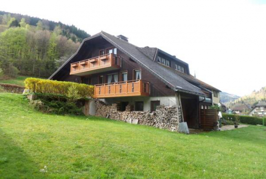 Todtnau , Ladenlokal, Gastronomie mieten oder kaufen