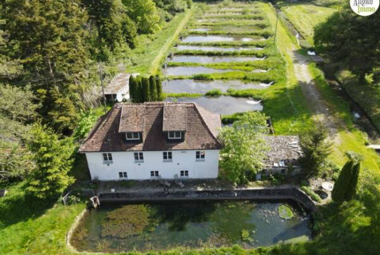 Ochsenhausen , Ladenlokal, Gastronomie mieten oder kaufen