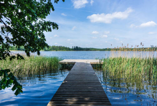 Waren (Region) , Ladenlokal, Gastronomie mieten oder kaufen
