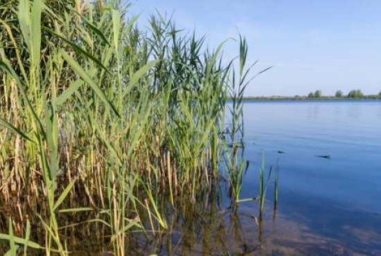 Waren (Region) , Ladenlokal, Gastronomie mieten oder kaufen