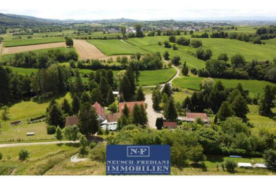 Friesenheim Riedmühle, Ladenlokal, Gastronomie mieten oder kaufen