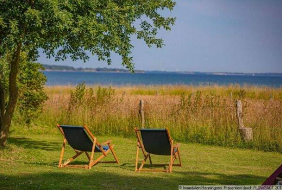 Niesgrau , Ladenlokal, Gastronomie mieten oder kaufen