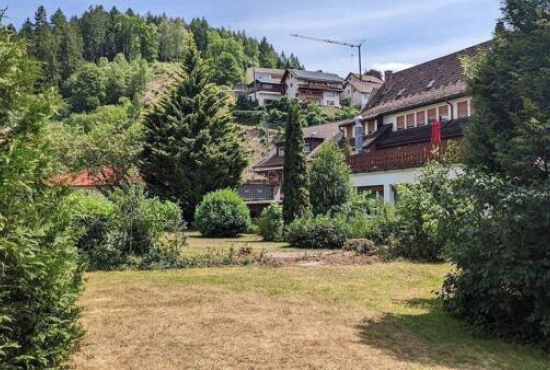 Bad Rippoldsau-Schapbach Dorfstr., Ladenlokal, Gastronomie mieten oder kaufen