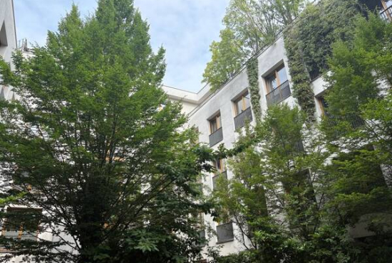 Berlin, Mitte (Mitte) , Ladenlokal, Gastronomie mieten oder kaufen