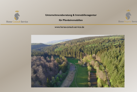 Deudesfeld , Ladenlokal, Gastronomie mieten oder kaufen