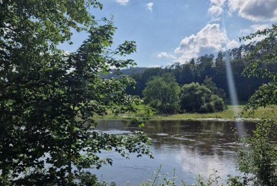 Regenstauf , Ladenlokal, Gastronomie mieten oder kaufen