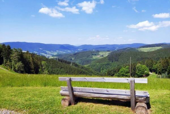 Zell am Harmersbach , Ladenlokal, Gastronomie mieten oder kaufen