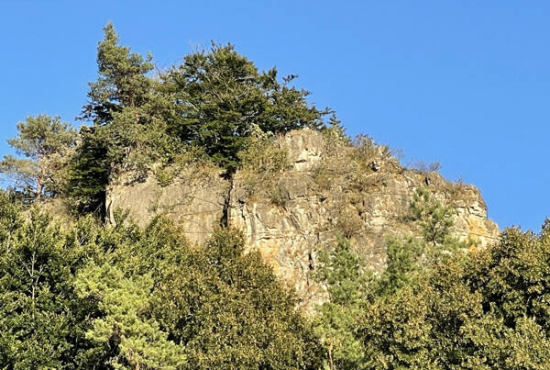 Mürlenbach , Ladenlokal, Gastronomie mieten oder kaufen