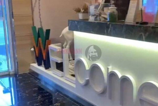 Pirmasens , Ladenlokal, Gastronomie mieten oder kaufen Pirmasens , Ladenlokal, Gastronomie mieten oder kaufen