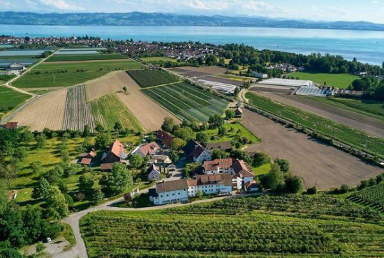 Eriskirch-Moos , Ladenlokal, Gastronomie mieten oder kaufen