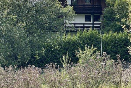 Forbach-Hundsbach Aschenplatz, Ladenlokal, Gastronomie mieten oder kaufen